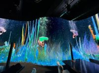 High Quality LED Display(indoor And