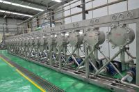 Automatic Potato / Sweet Potato Processing Machine