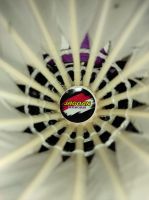 Jagoan Shuttlecock