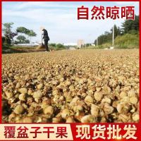 Natural Fupenzi Fructus Rubi Chinese Supplier Hot Sale Chinese Traditional Herb Dried