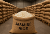 Jasmine rice