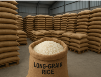 Long-grain rice