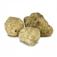 White Truffles