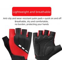 Men's MTB Half-Finger