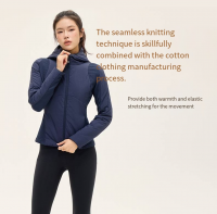 3M Thinsulate Lightweight Jacket - Thermal Sport