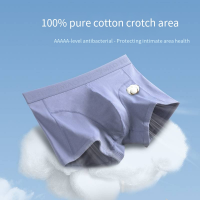 Organic Cotton Boxer Briefs - Anti-Bacterial