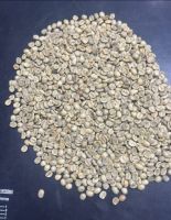 Green Coffee Beans &acirc;�� 2025 Crop | Brazil