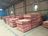 Factory Price Copper Cathode Plates/Copper Ingot/ Copper Cathode Cu 99.99%