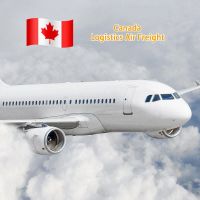 Canada Cheap Shipping Agent Professional Logistics