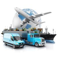 UPS DHL FEDEX Professional Agent Logistics