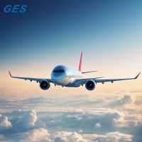 UPS DHL FEDEX International Freight Forwarder