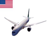 UPS Cheap Professional Freight DAP DHL Logistics Agency Fedex Service 20-24 Feet air Freight Agency Service From China to USA