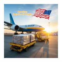 Most Affordable Shipping Freight Forwarder Logistics