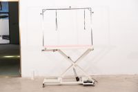 Electric Pet Grooming Table PLVT-01
