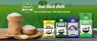 Bach Dien Rice ST