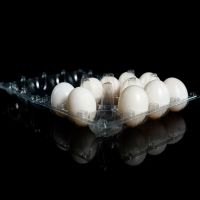 Stackable Pigeon Egg Storage Box Fresh Egg Holders Recyclable Pigeon Egg Trays Pet Pigeon Egg Cartons Wholesale