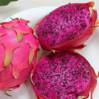 Fresh Dragon Fruit