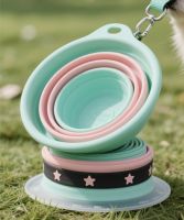Roll-Up Pet Feeder