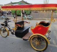 Human passenger tricycle