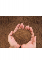 Palm Kernel Expeller