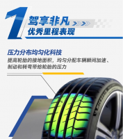 GrapeTree Tire 225/50 ZR17 (98Y), suitable for CR-V, Passat, Accord, BMW 3 Series