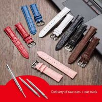 Watch strap men's and women's genuine leather watch chain colorful waterproof cowhide pin buckle watch strap substitute Casio Tianwang Tiansuo Longqin