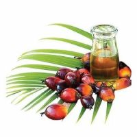 Fractionated Palm Oil Ã¢ï¿½ï¿½ RBD Palm Olein & Stearin | Food & Industrial Grade | Bulk Export