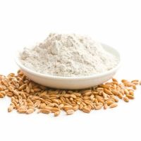 High-Quality Wheat Protein Isolate Ã¢ï¿½ï¿½ Food Grade & Non-GMO | Bulk Supply