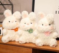 Pet Plush Rabbit Toys