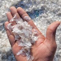 PET FLAKE COLD WASHED