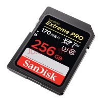 Digital Camera SD Memory Card