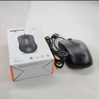 mouse model