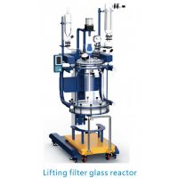 Customized Filter Glass Reactor