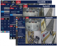 Video Surveillance Management Software: SVMSPro