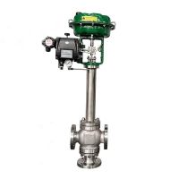 Cryogenic Globe Control Valve, A351 CF8M