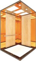 Luxury Home Elevator Design  Elevator  GLP