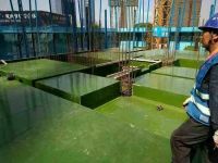 green PP plastic faced plywood 