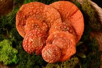 Amanita Muscaria dried caps