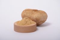 Lion's Mane Mycelium (Hericium erinaceus mycelium)