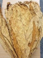 Premium Nigerian Virginia &amp; Burley