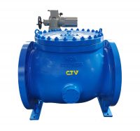 Flat Bottom Eccentric Hemispherical Valve