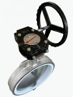 Soft-sealed Worm Gear Lug Wafer