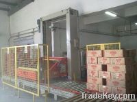 case palletizer