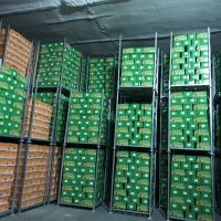 Cold Chain Shelves