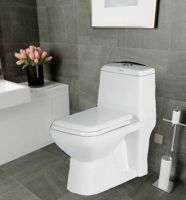 Suncera Premium One Piece Toilet Seat, Floor mounted, glossy finish