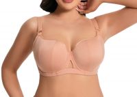 High-quality Women's Plus-size Cup Bras