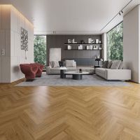 China Supplier Best Price Dry Back