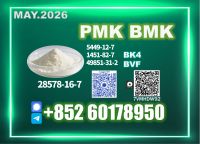 New PMK Cas 28578-16-7