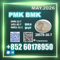 CAS 28578-16-7 bmk pmk ethyl glycidate oil premium safe delivery