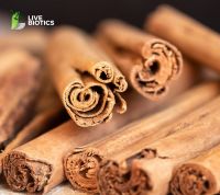ALBA Grade Ceylon Cinnamon Sticks - Hand